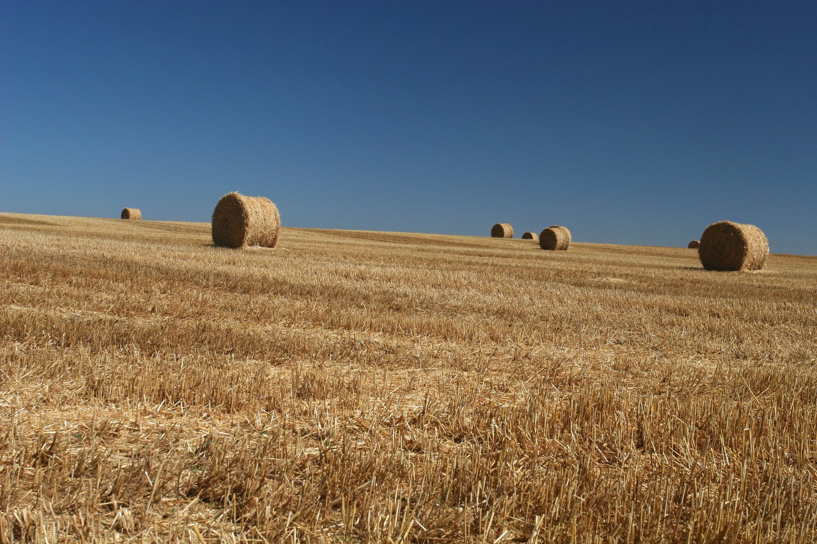 several bales of hay in an empty field