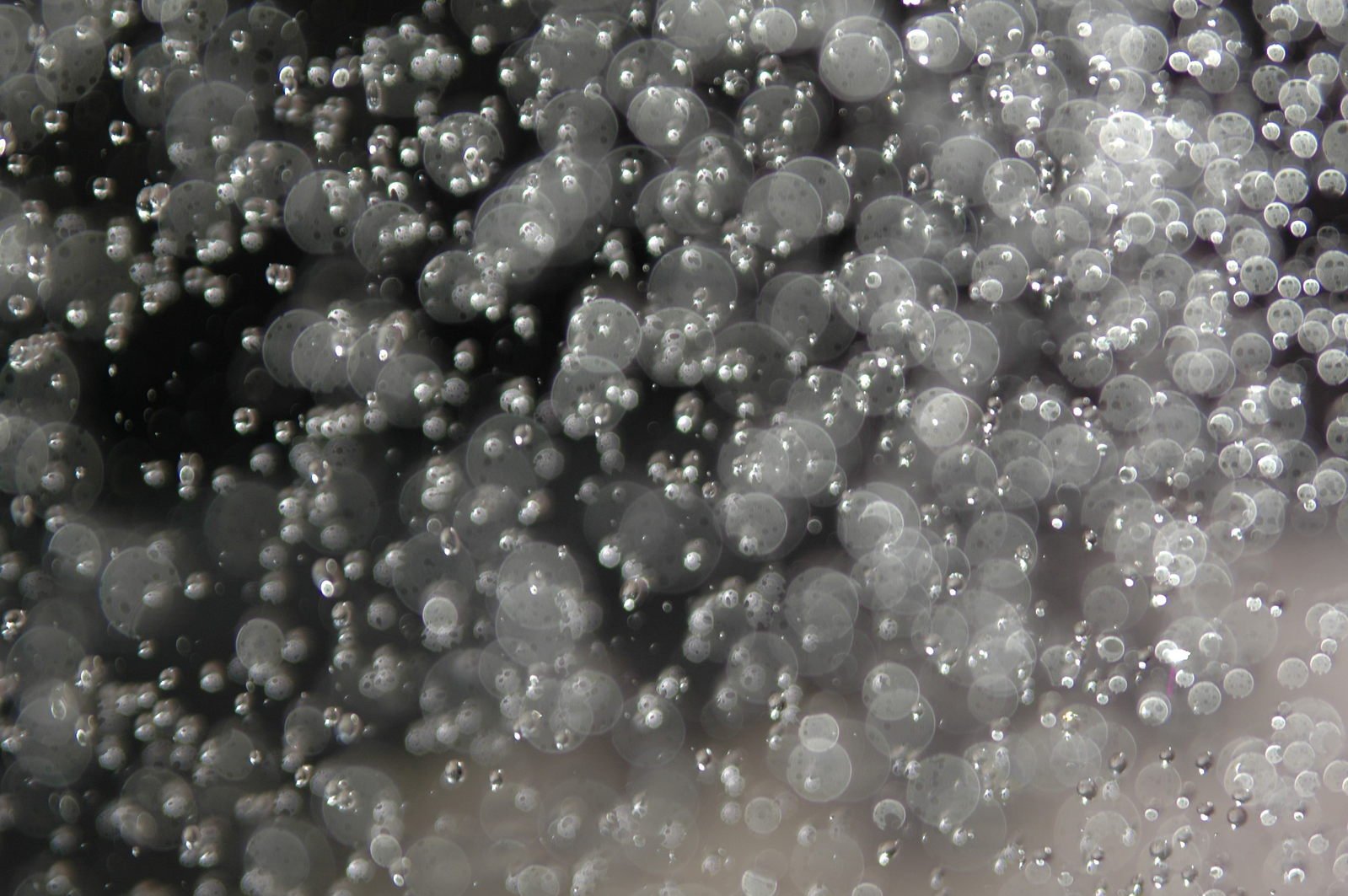 a close up s of water droplets on the window