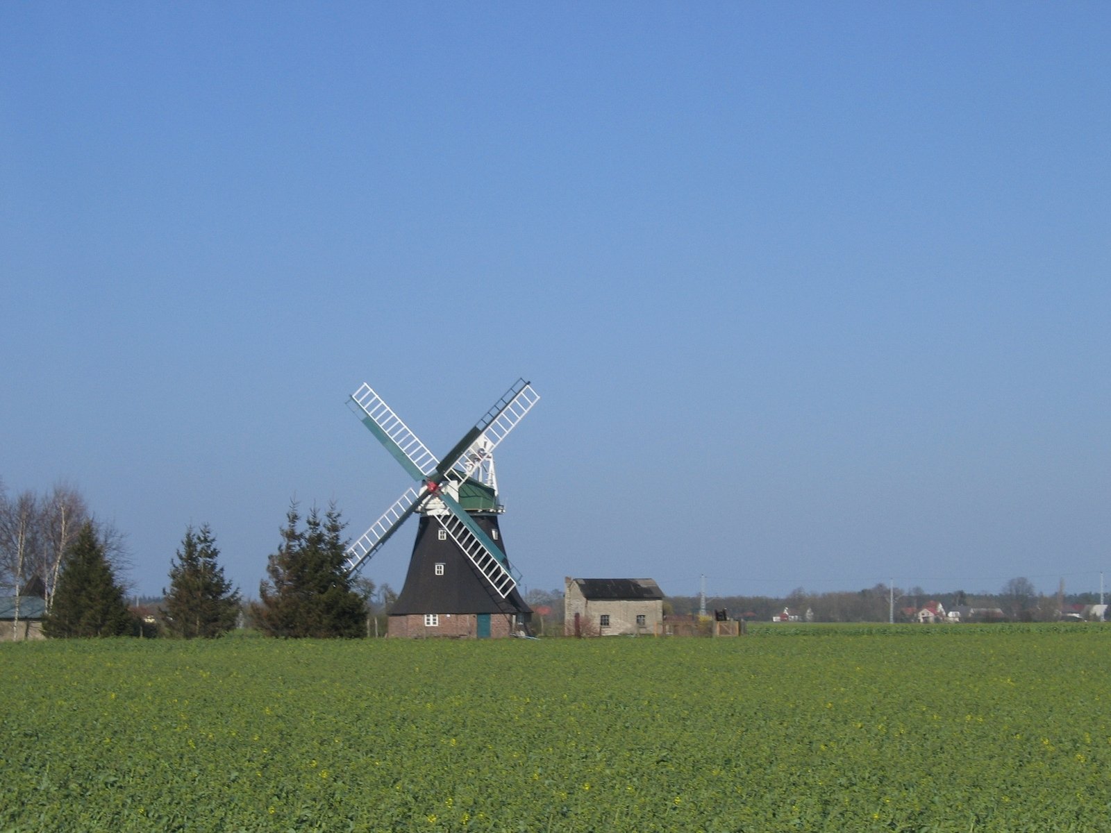 a windmill in a green field with trees behind it