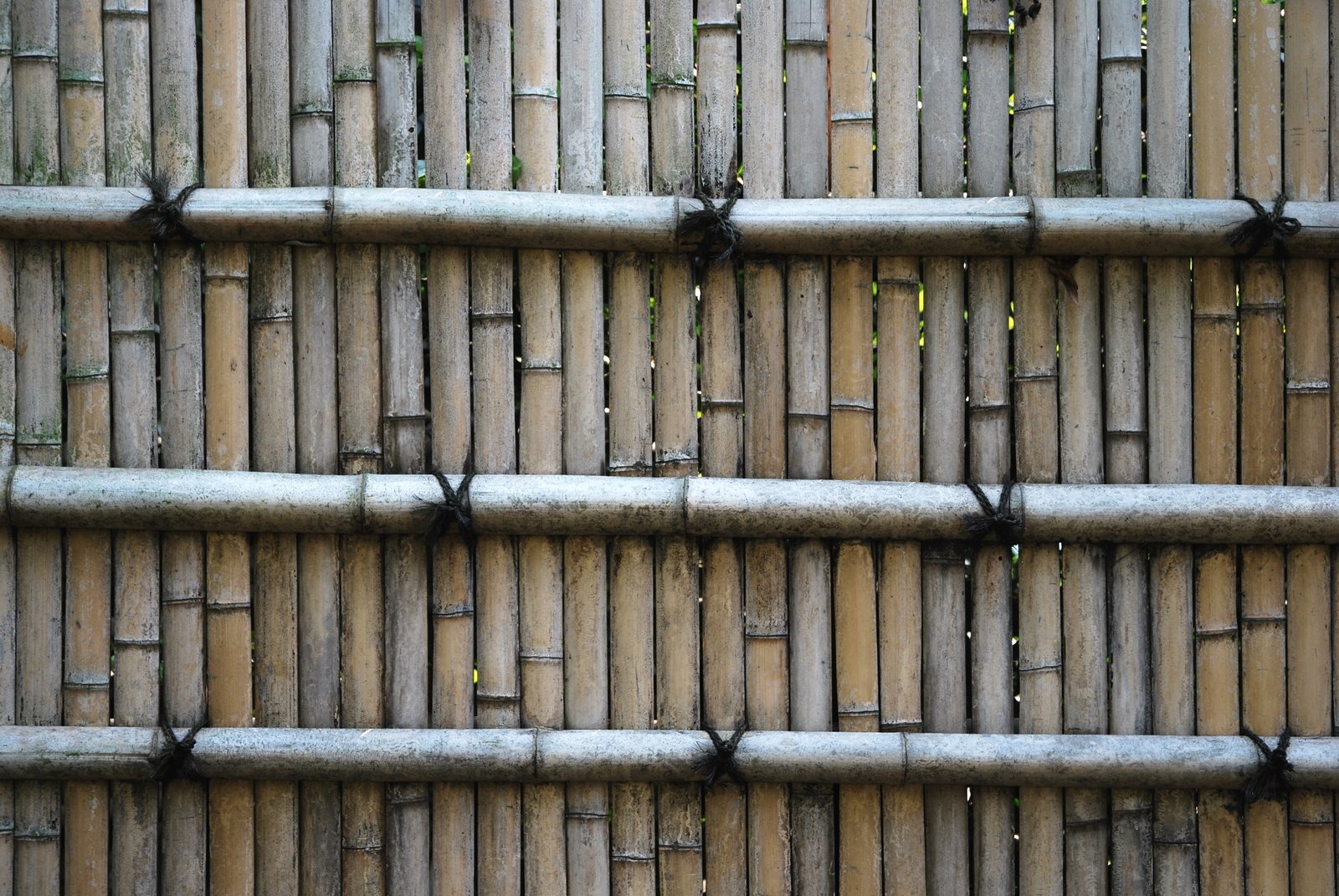 a series of bamboo pipes in an outdoor area