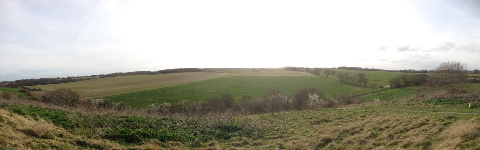 an empty field in the country with very green grass