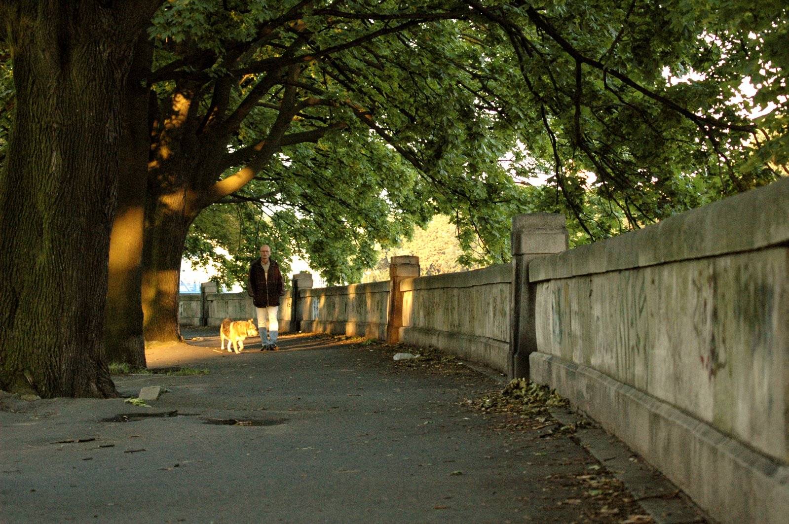 two park benches line a fence in the sunshine