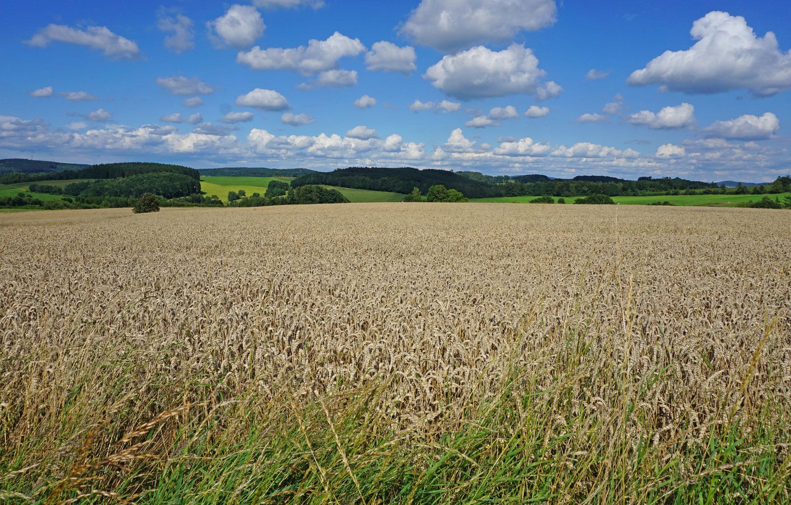 a large field of grass that is near some hills