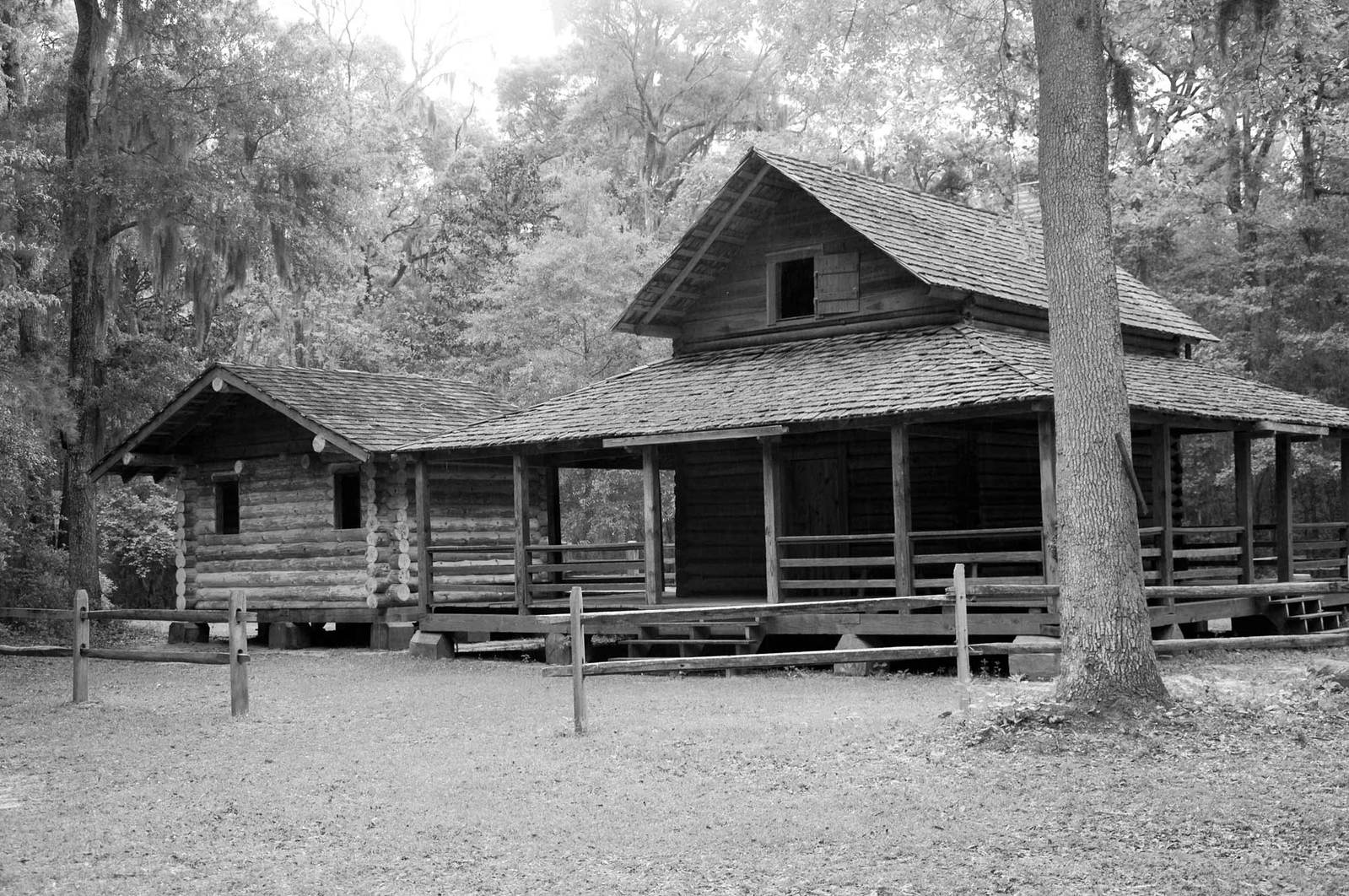 a black and white po of a building in the woods