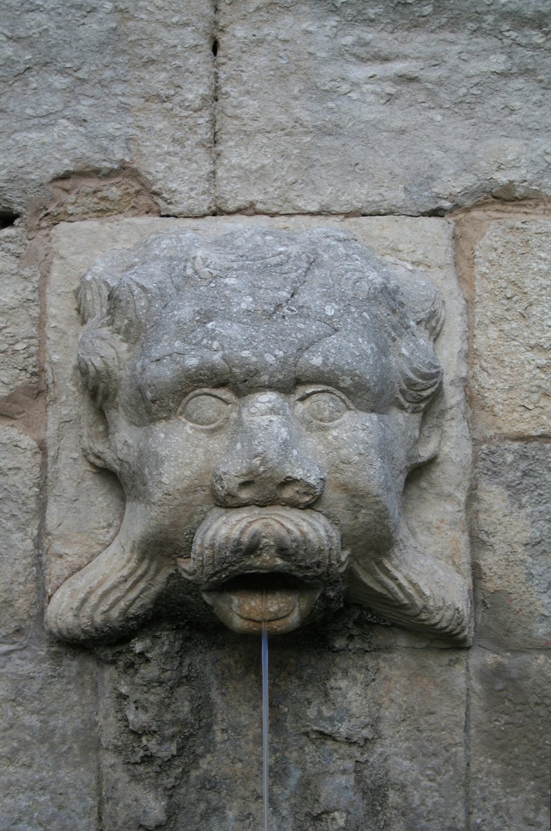 stone water feature with a fish's head as part of the face