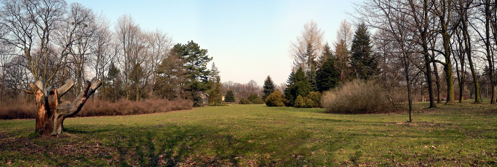 a large field with lots of trees on the other side of it