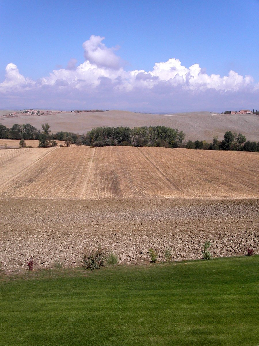 a blue and white train traveling through a field