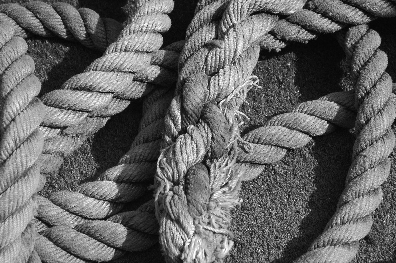 an old rope lies on the sand in black and white