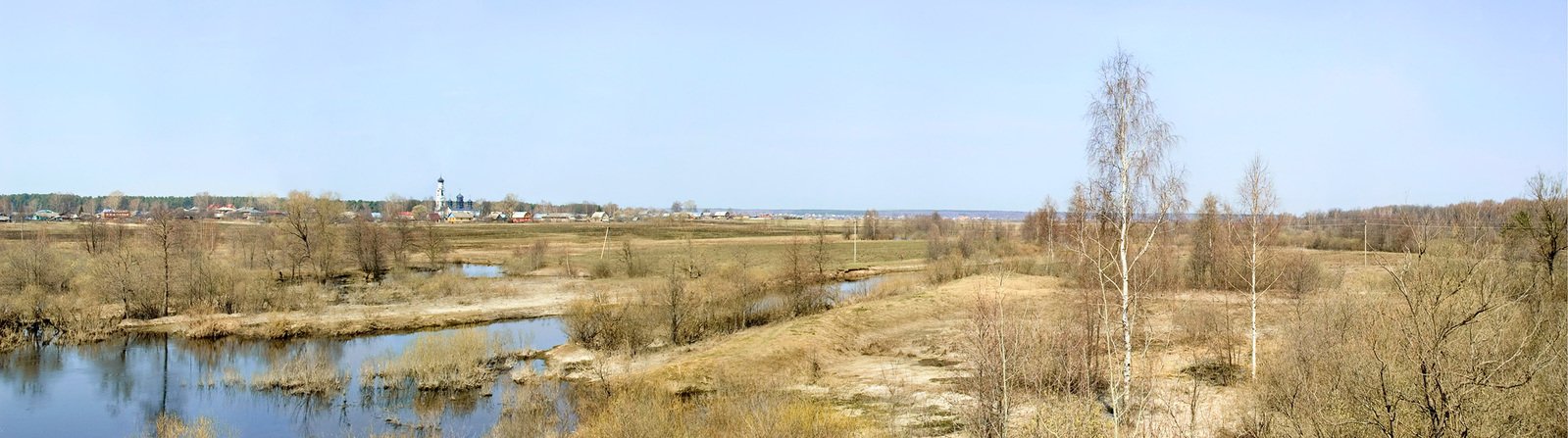 a large river runs through a field with dead trees