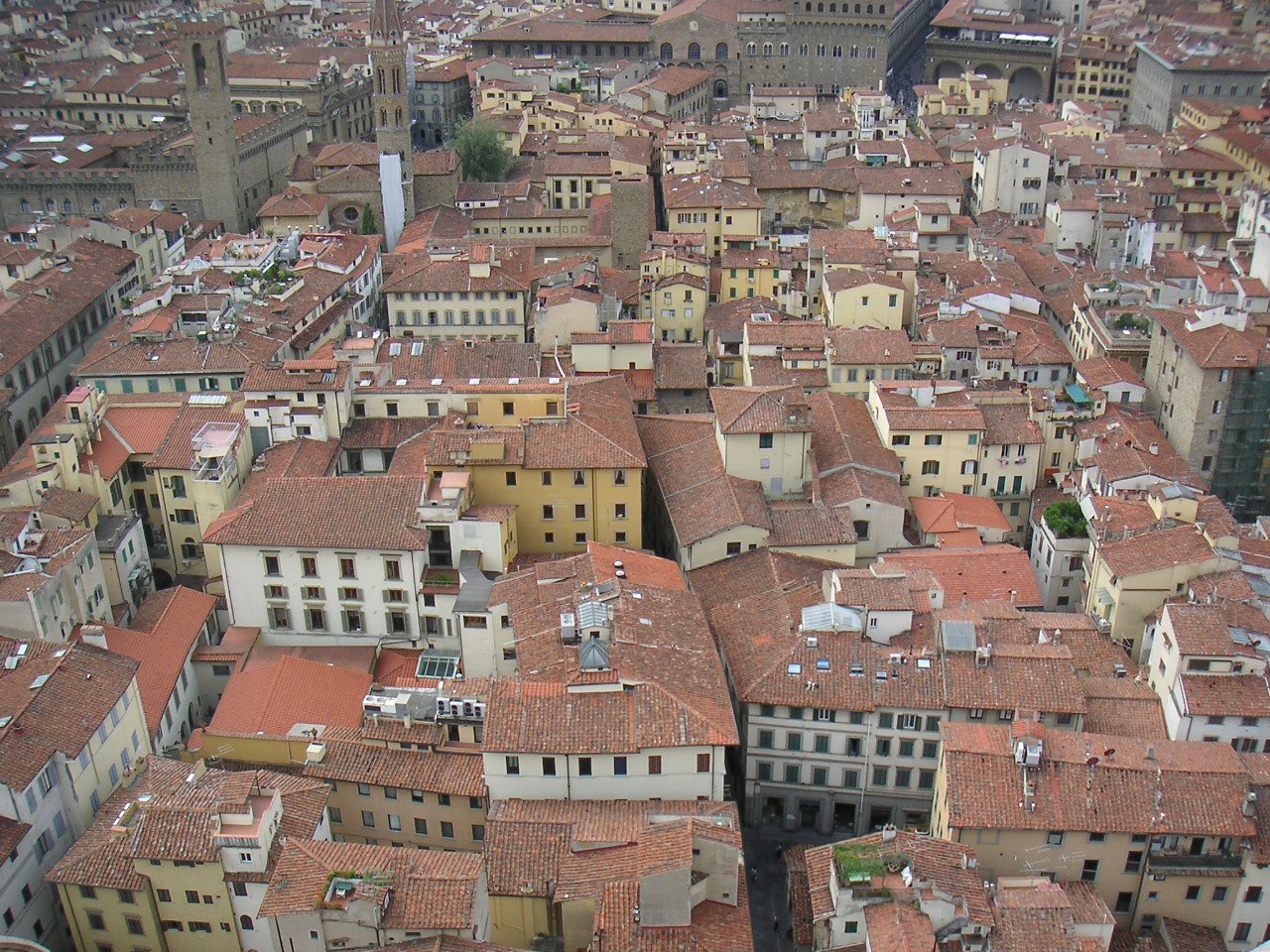 many different buildings with many red roofs