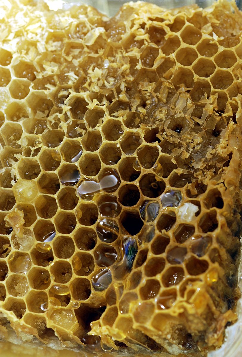 closeup of honeycomb made of wax that looks like it is dripping