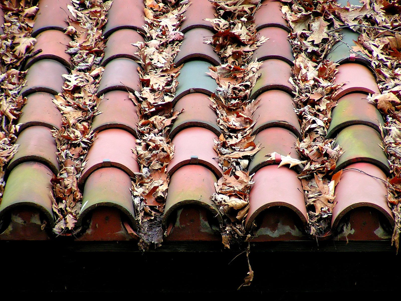 a tile roof with some leaves on it