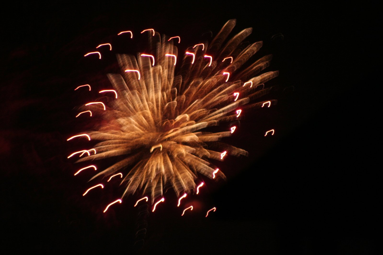 a large fireworks is exploding in the sky