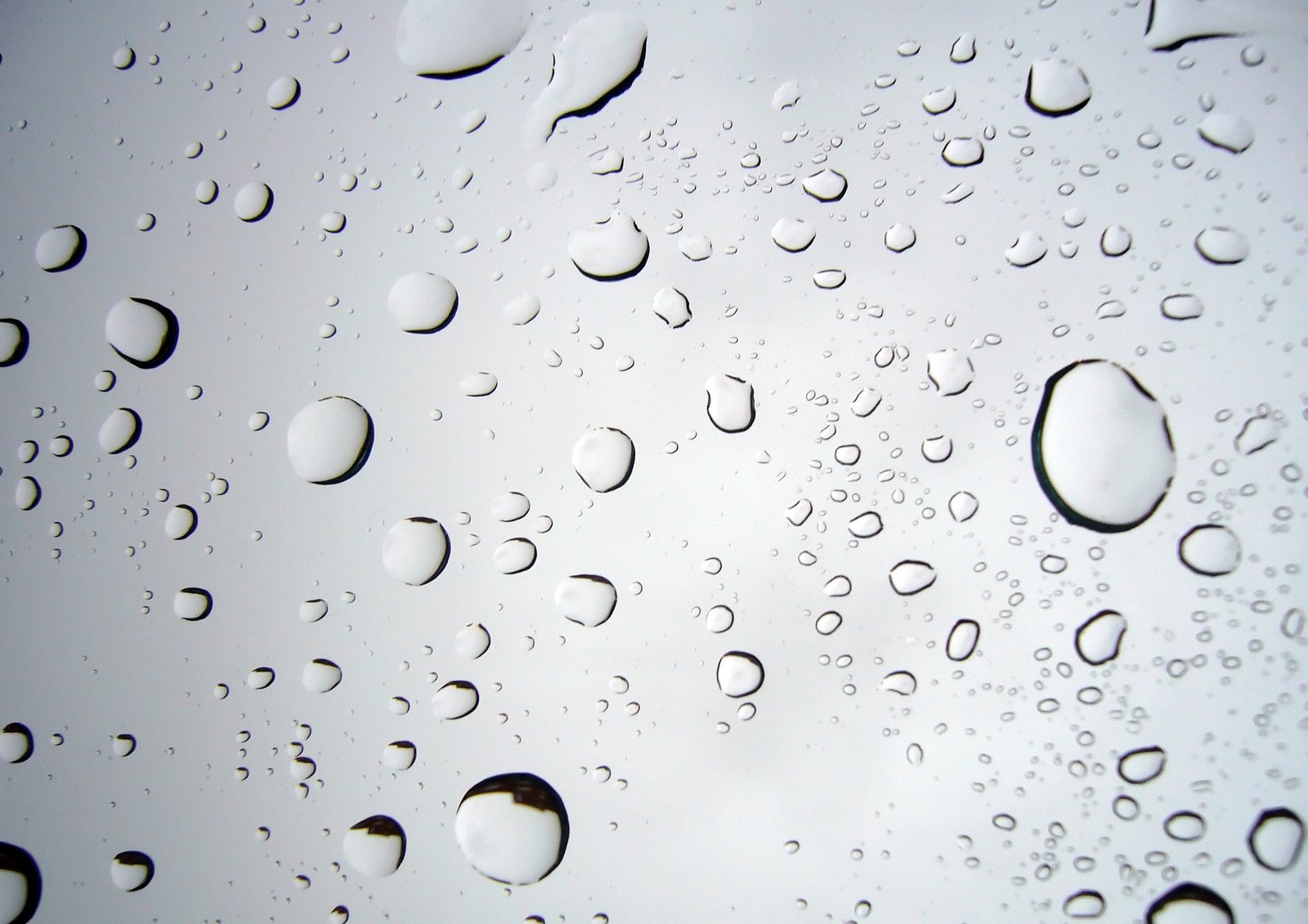 a very large drops of rain or water on a window