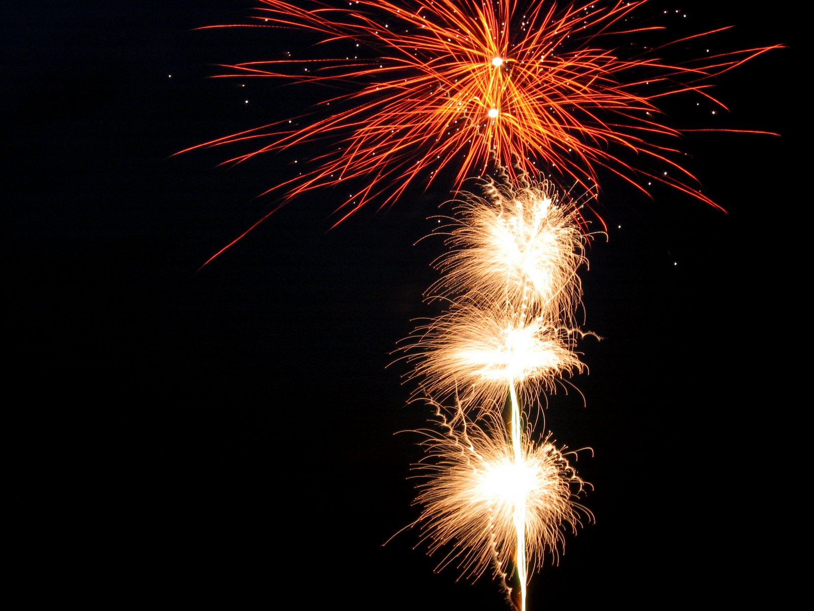 fireworks bursting out of the sky in the dark