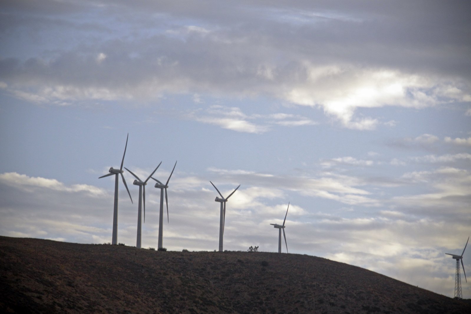 a large group of windmills on a hill