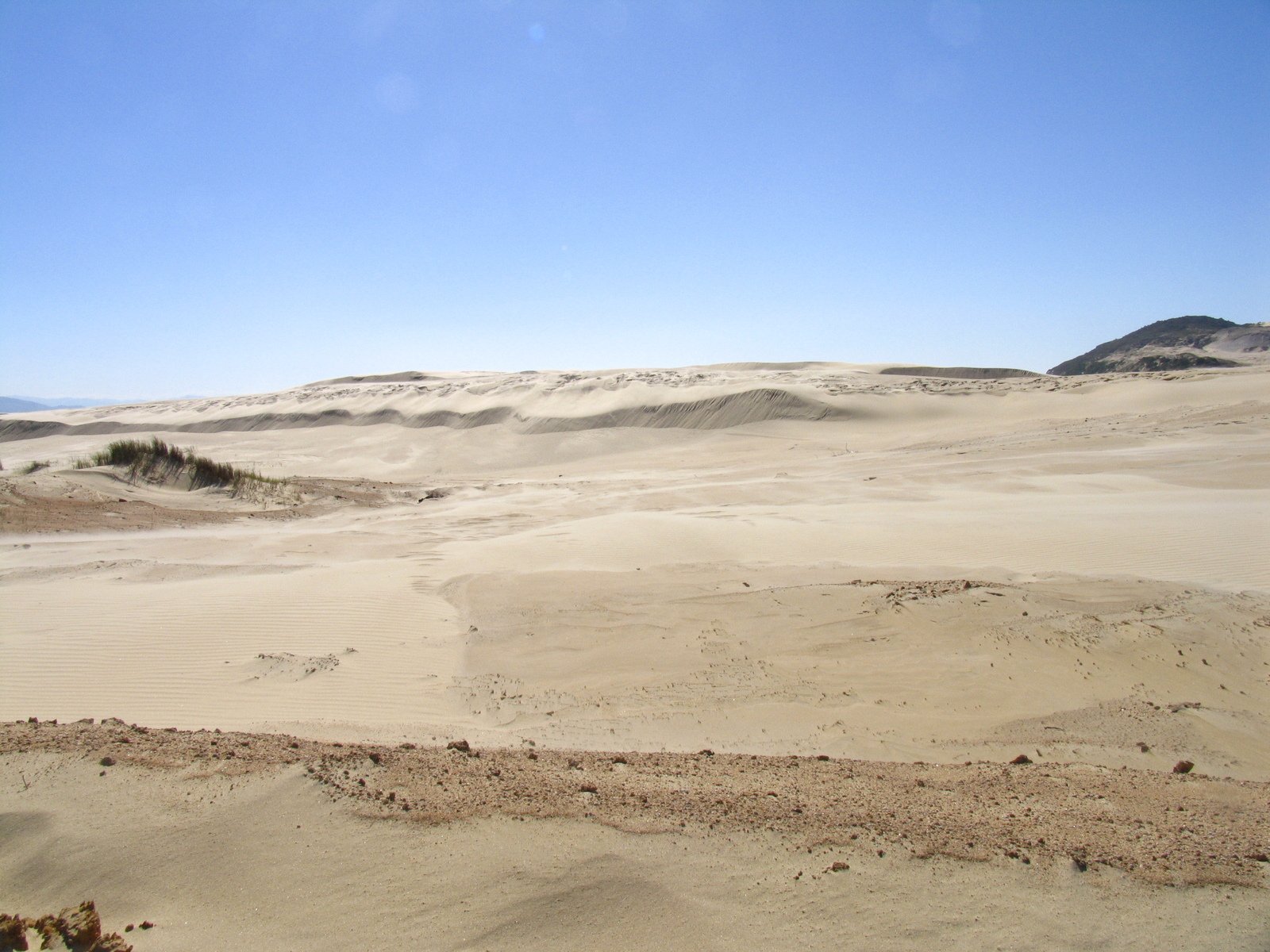 a field is shown in the middle of sand