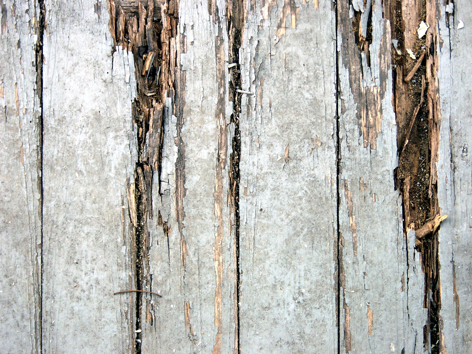 an abstract pograph of peeling, weathered paint