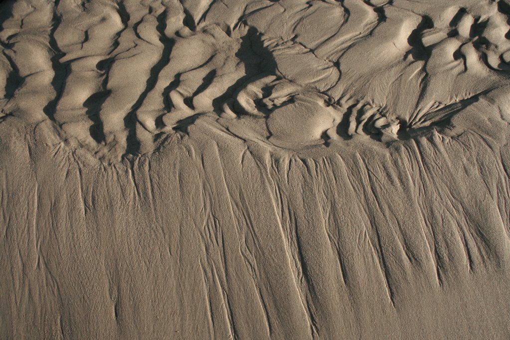 sand dunes are a popular place on the beach