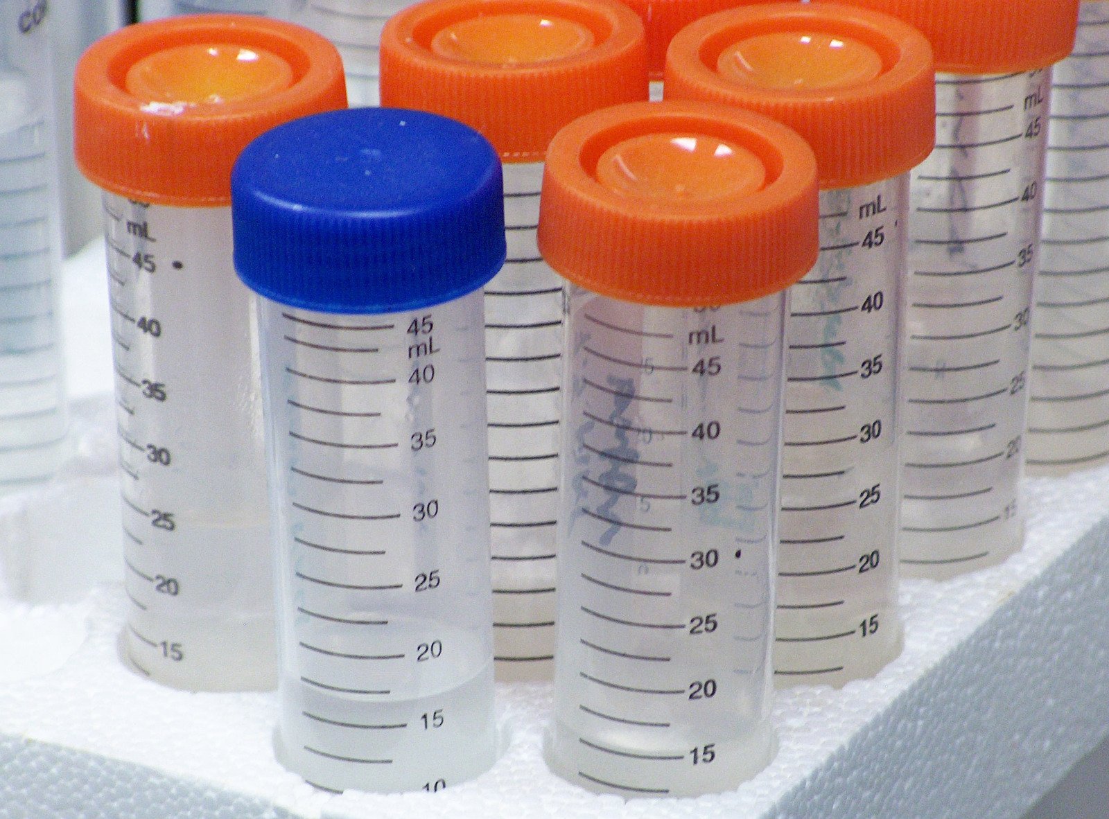 several test tubes with orange caps sit on a shelf