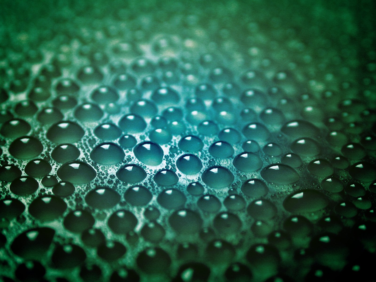 a close up view of water droplets and the surface