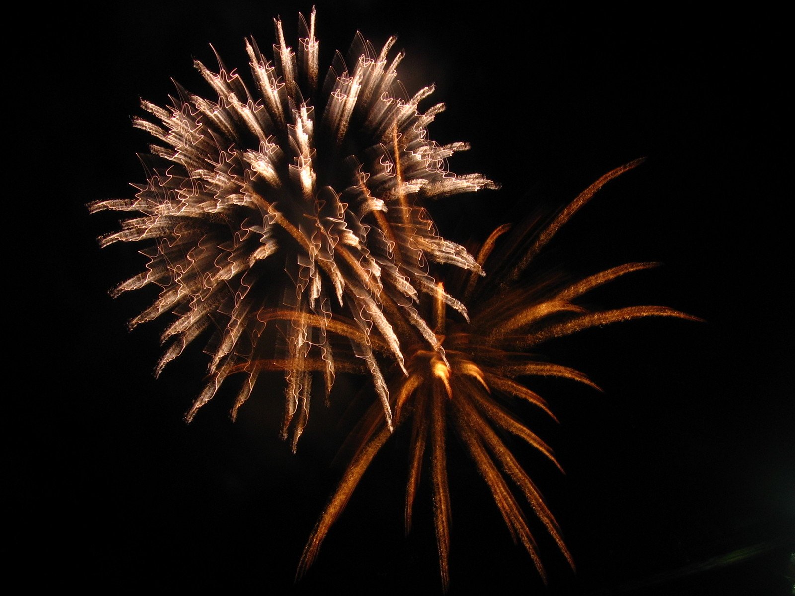 the bright fireworks are very colorful on the dark night