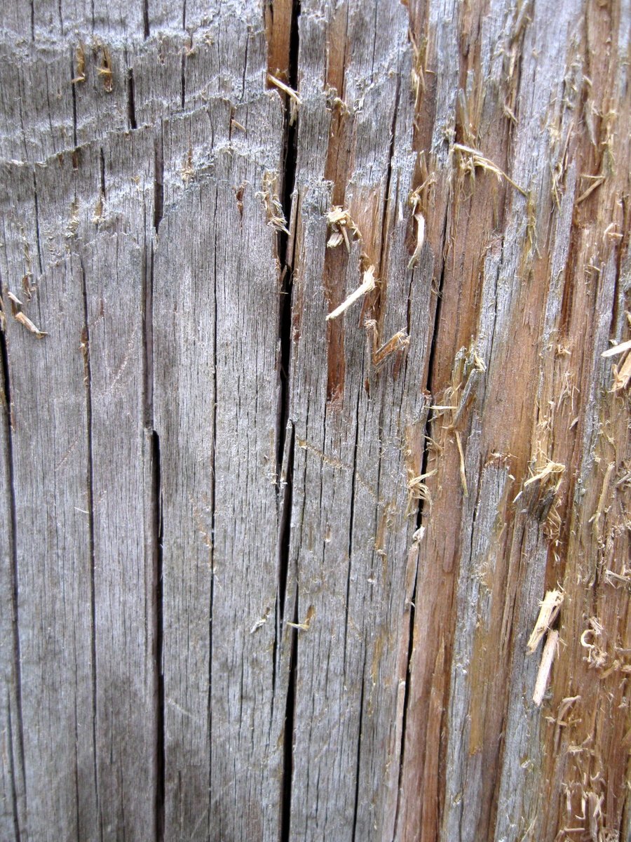 a piece of wood that has been peeling off