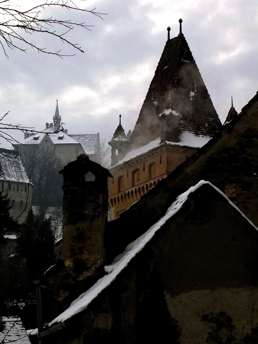 a snow scene with a building and tree