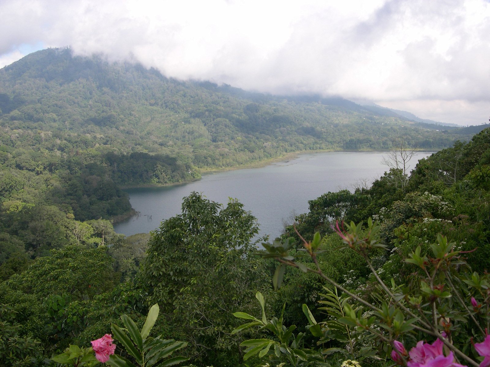 mountains and hills overlook a lake with trees