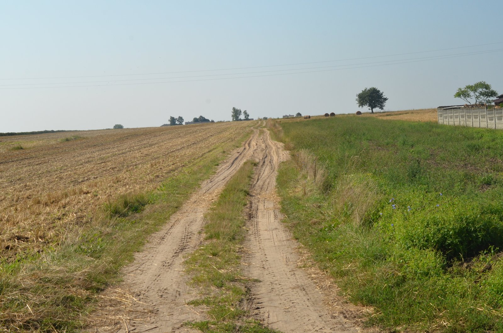 the tracks of an old dirt road going through the middle of a large field