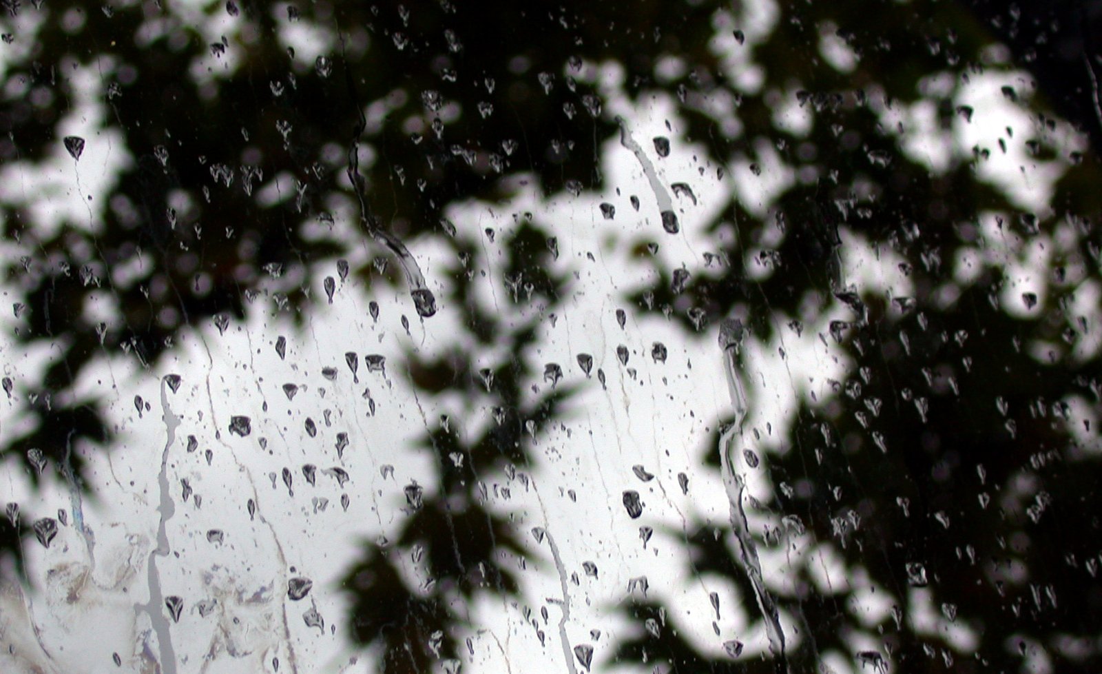 the window is covered with rain drops in front of a building