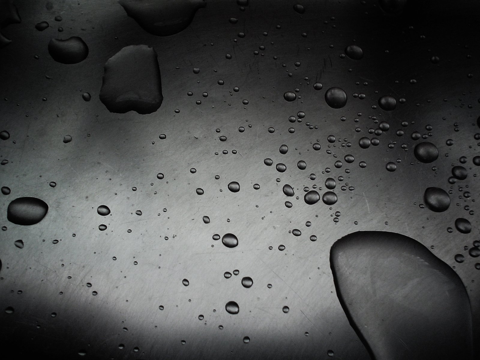 a black and white po shows water droplets on the surface