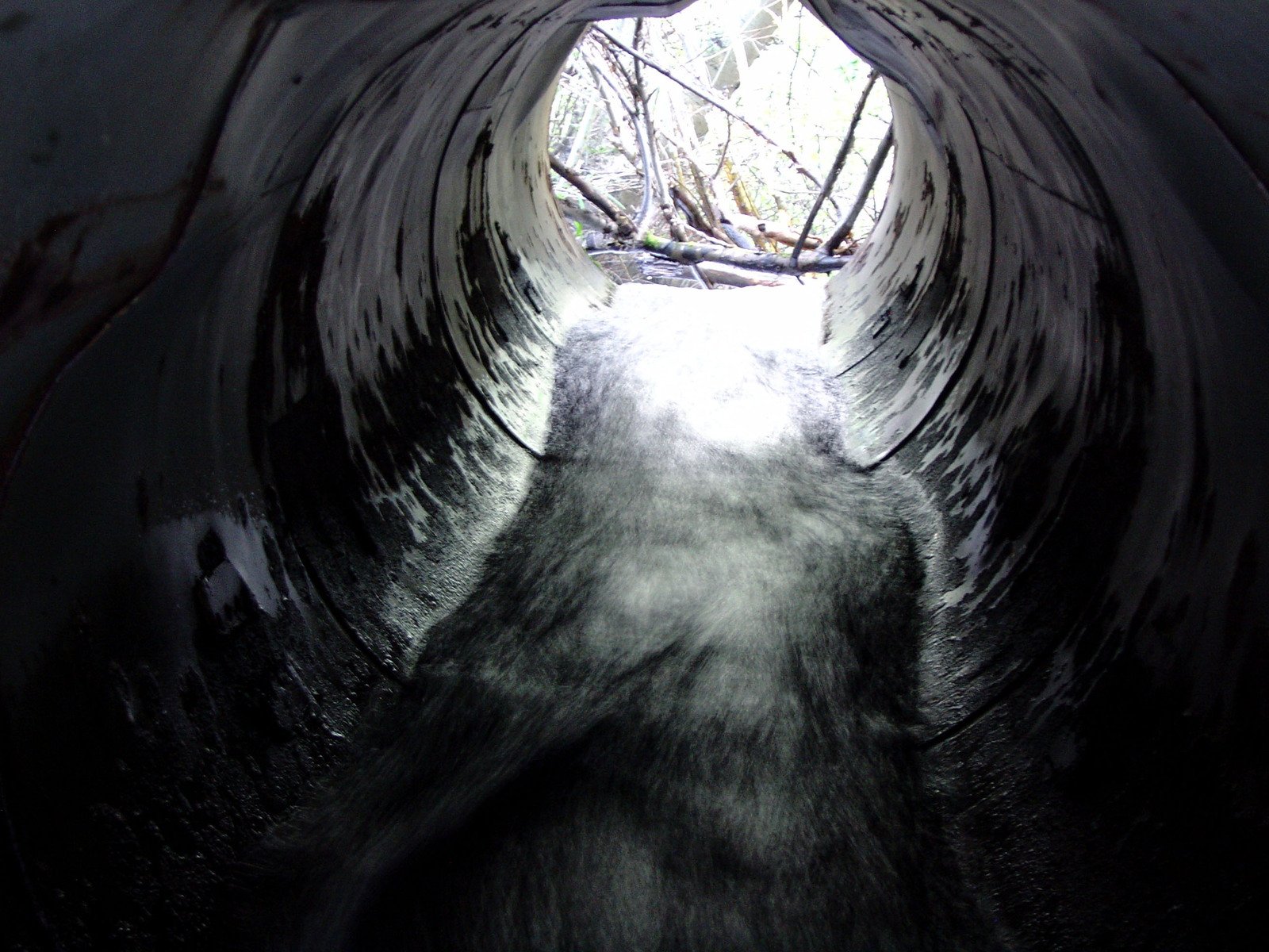 a view looking up through a tube in a concrete structure