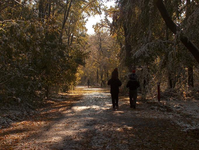 two people standing on a dirt road in a wooded area