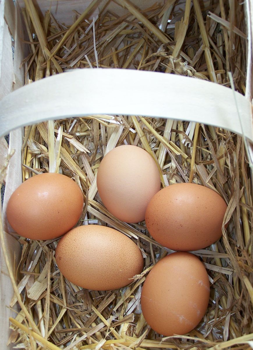 three eggs in a basket, with one egg laying next to it