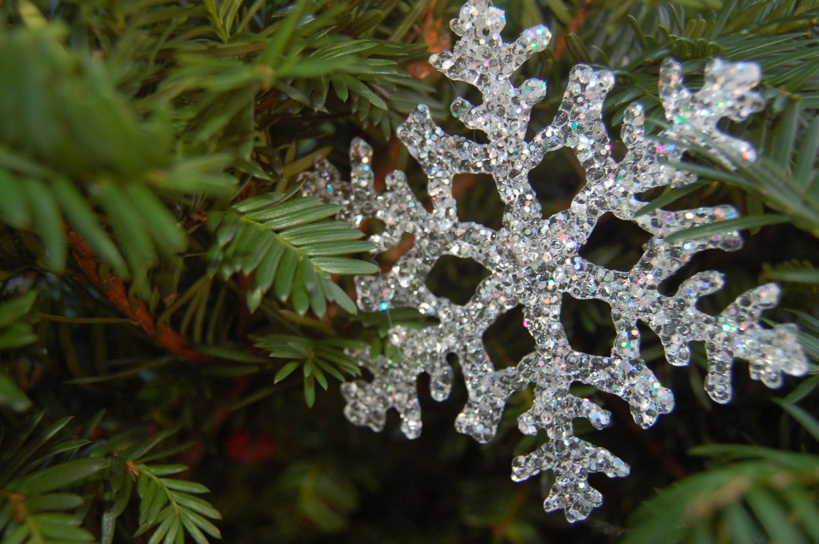 a shiny snowflake is hanging from a pine tree