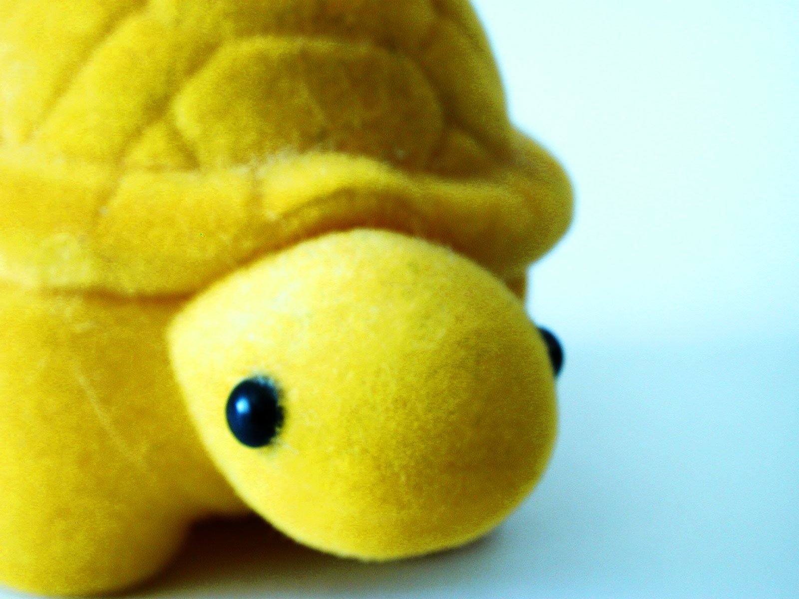a stuffed toy turtle with black eyes is sitting down