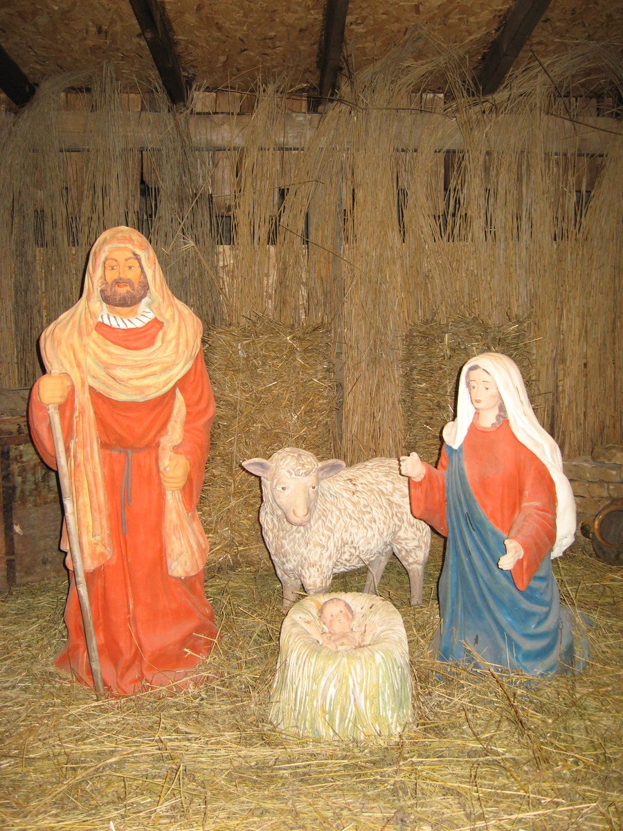 christmas scene with shepherd, sheep and person in hay