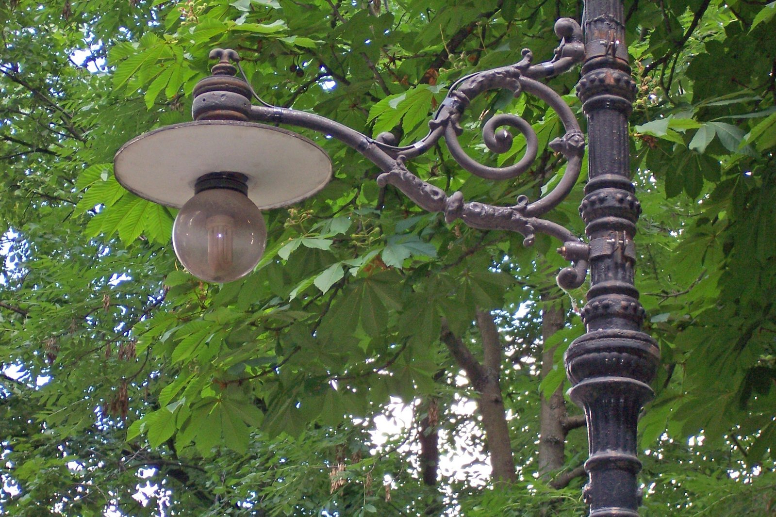 a light post in the midst of some trees