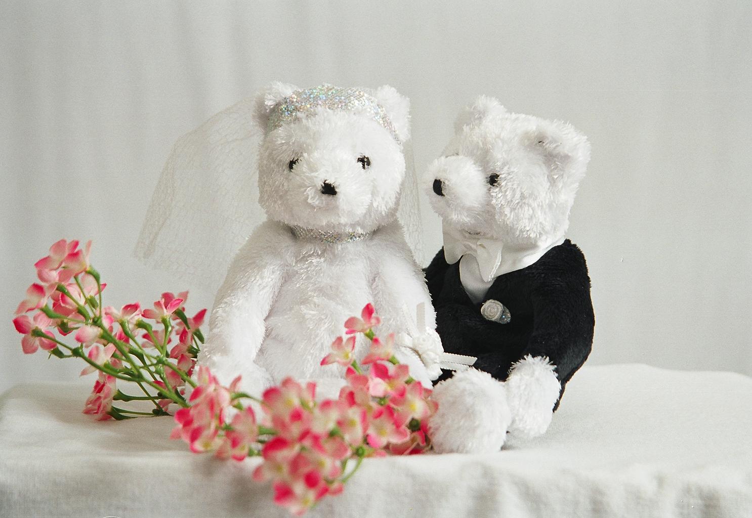 two teddy bears sitting on top of a table near pink flowers