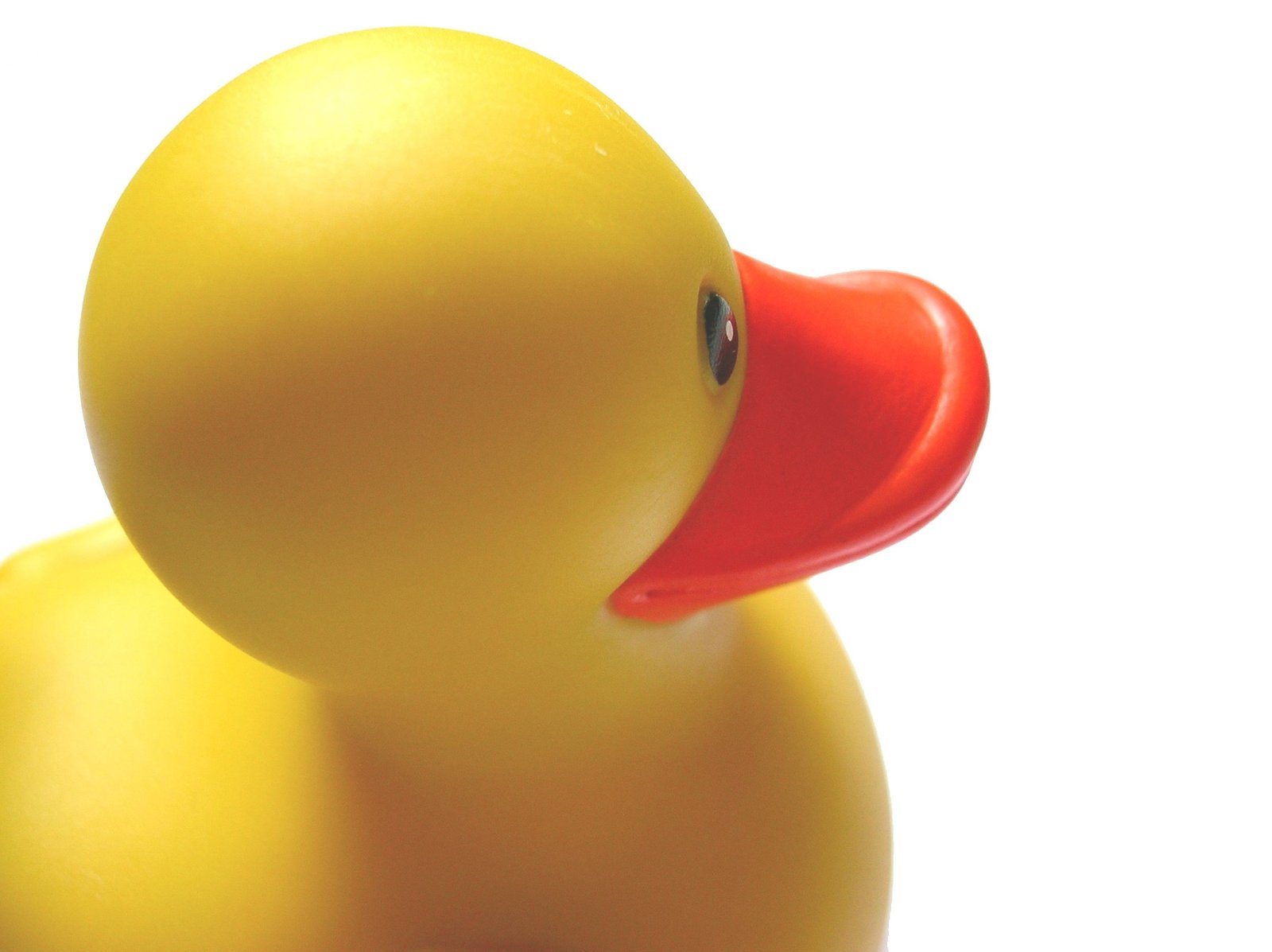 close up of rubber yellow duck with red beak