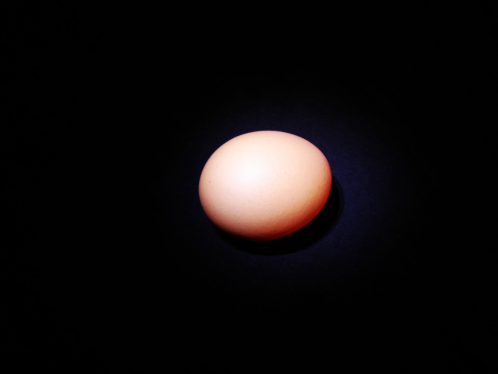 a egg with it's shell glowing in the dark