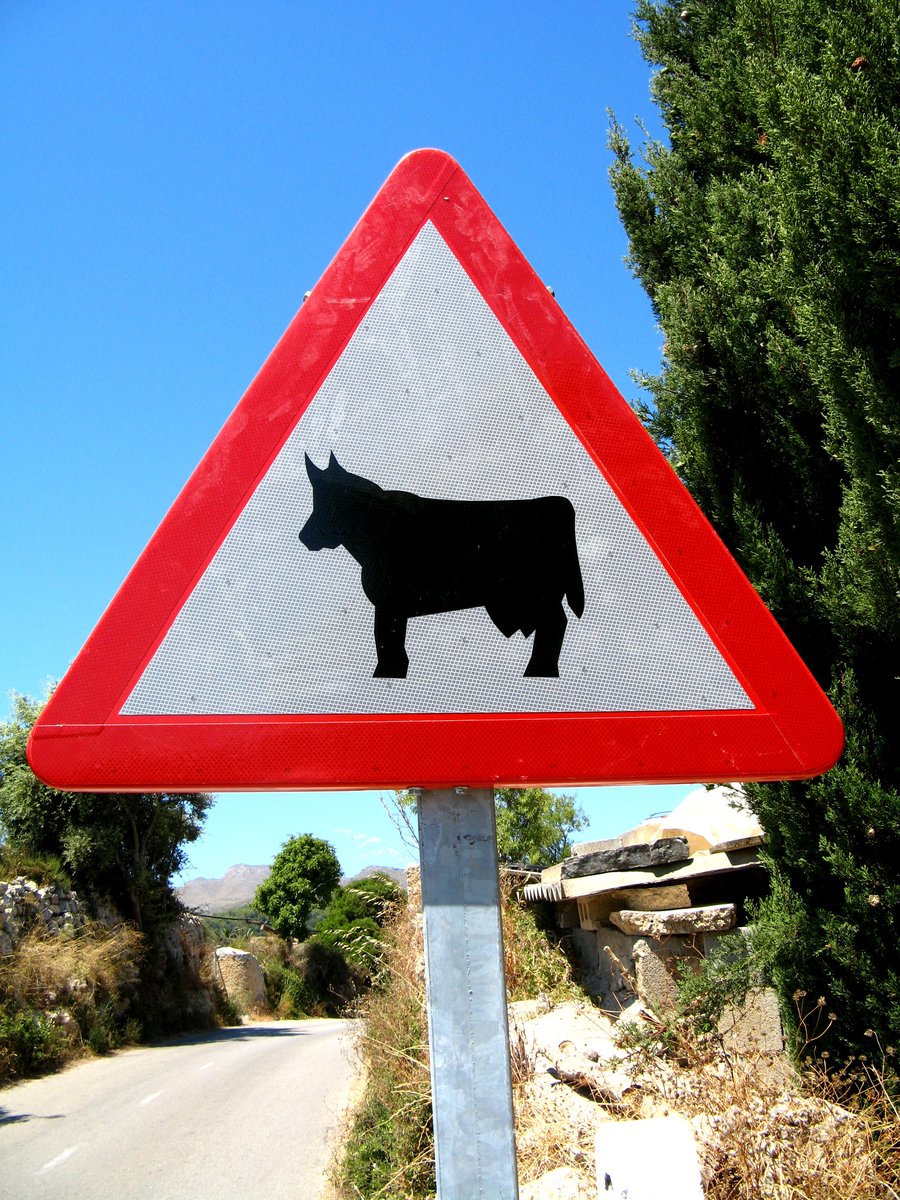 a street sign with an image of a cow on it