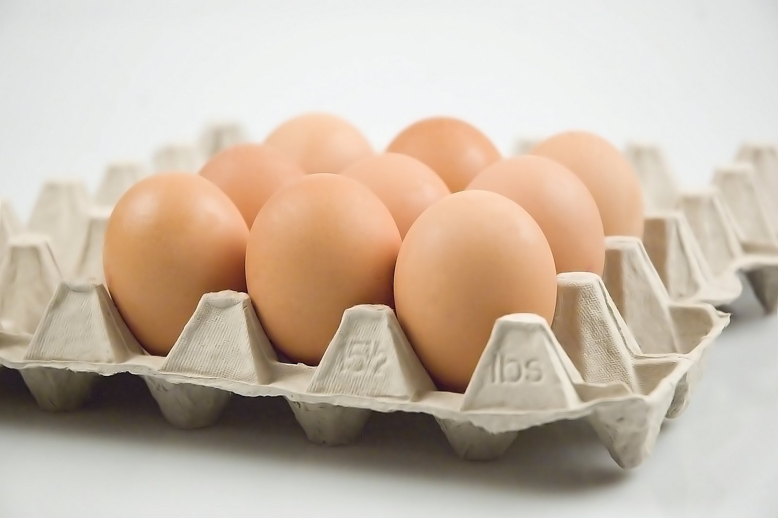 eggs in an egg carton