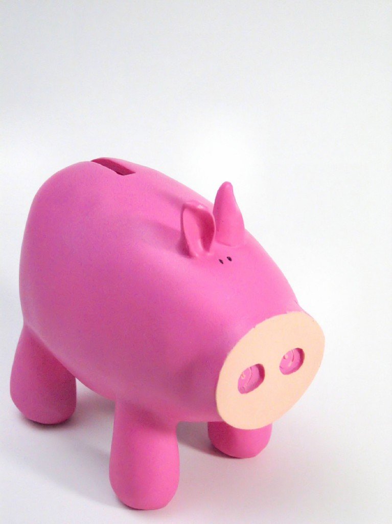 a pink pig toy with its head raised