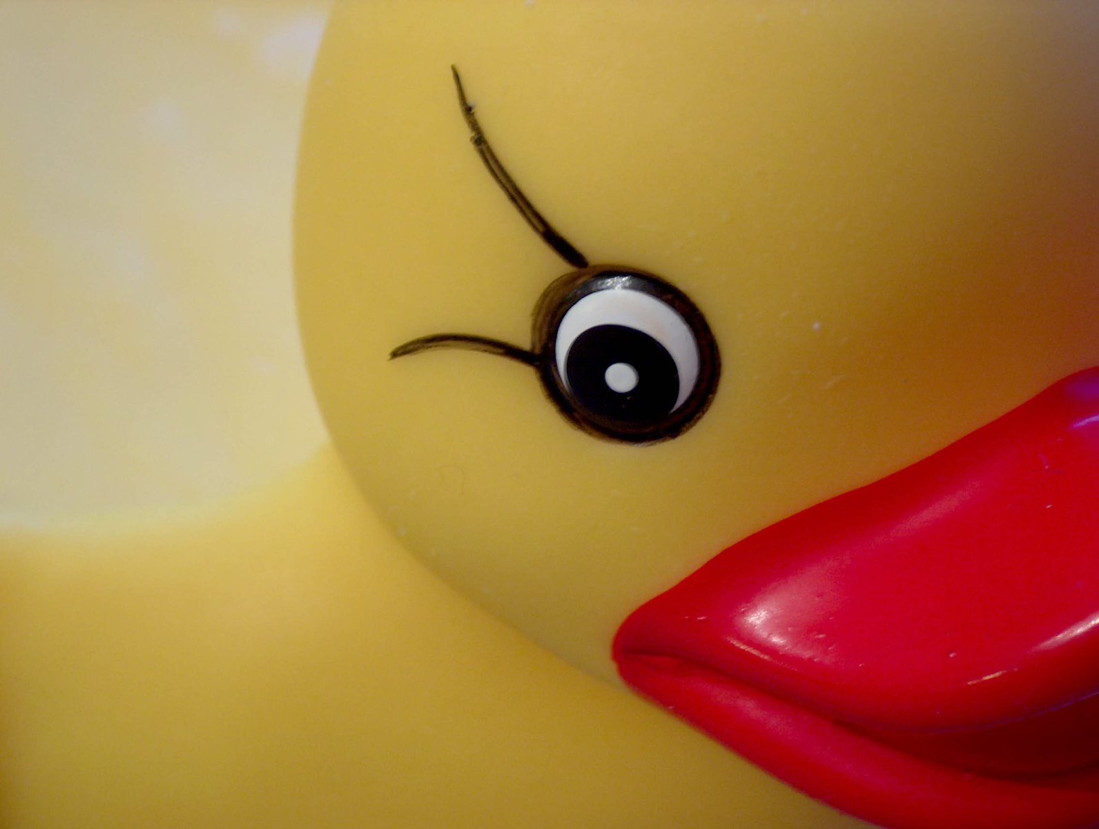 the rubber toy duck is yellow with brown eyes