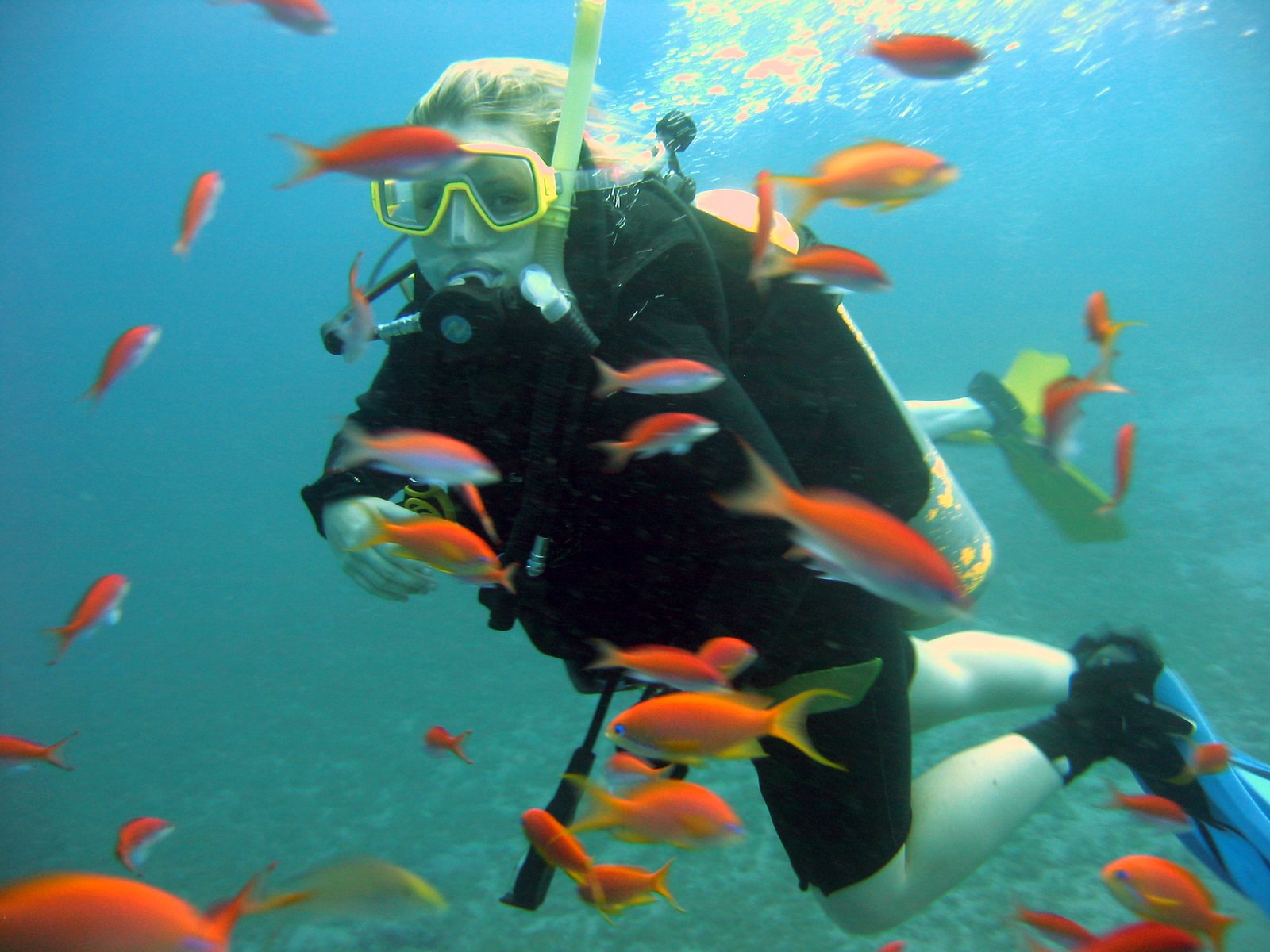 a woman standing in the ocean surrounded by fish