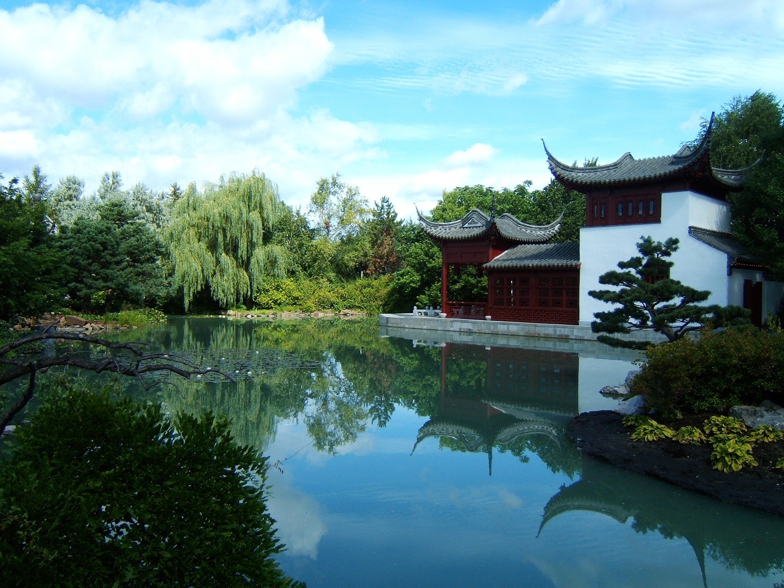 the scenery of a home in an asian style