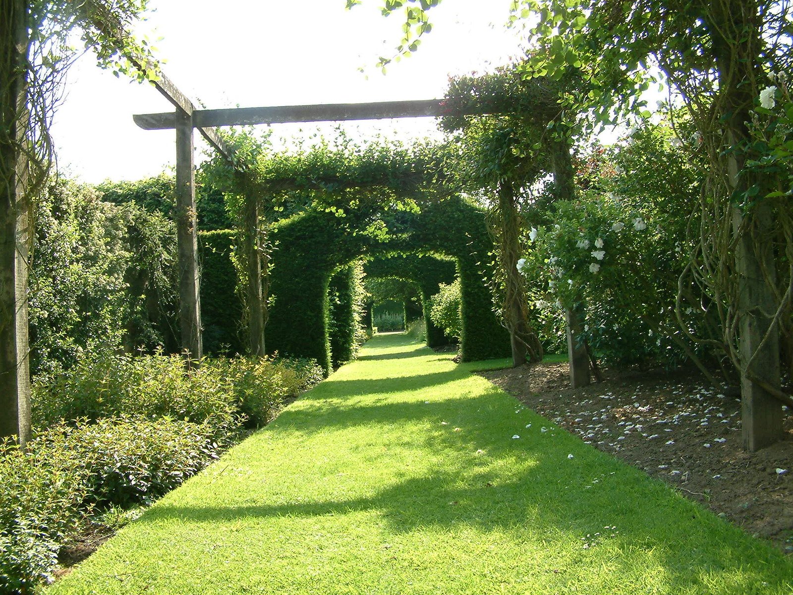 an arch leads out into a beautiful garden