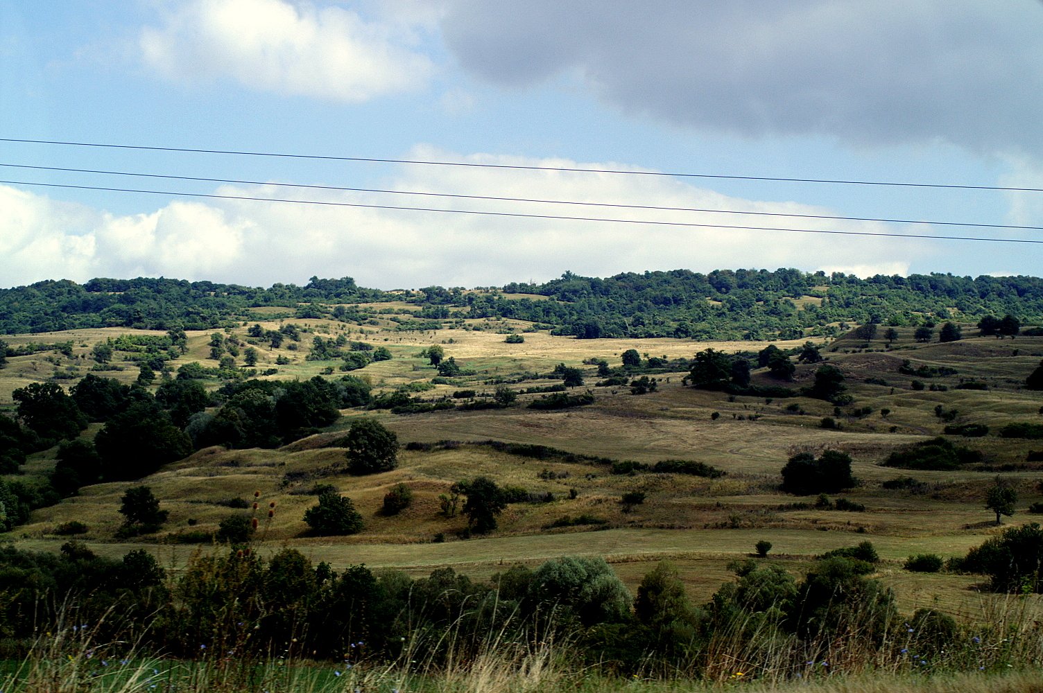 the grassy landscape is partly dry on the mountainside